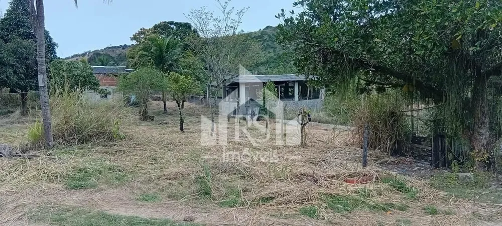 Chácara, 7 quartos, 2 hectares - Foto 12