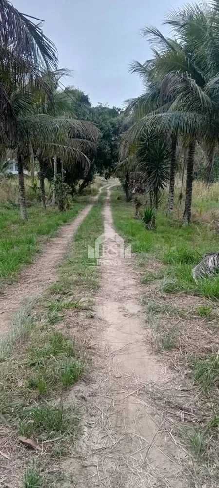 Chácara, 7 quartos, 2 hectares - Foto 6