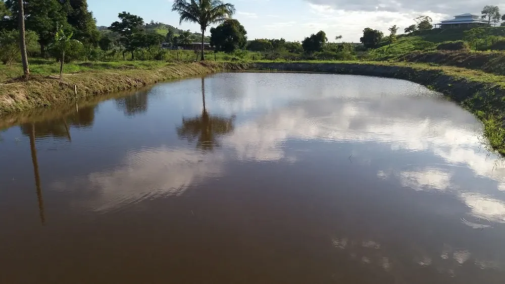 Chácara, 7 quartos, 2 hectares - Foto 1