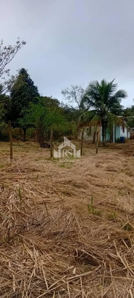 Chácara, 7 quartos, 2 hectares - Foto 8