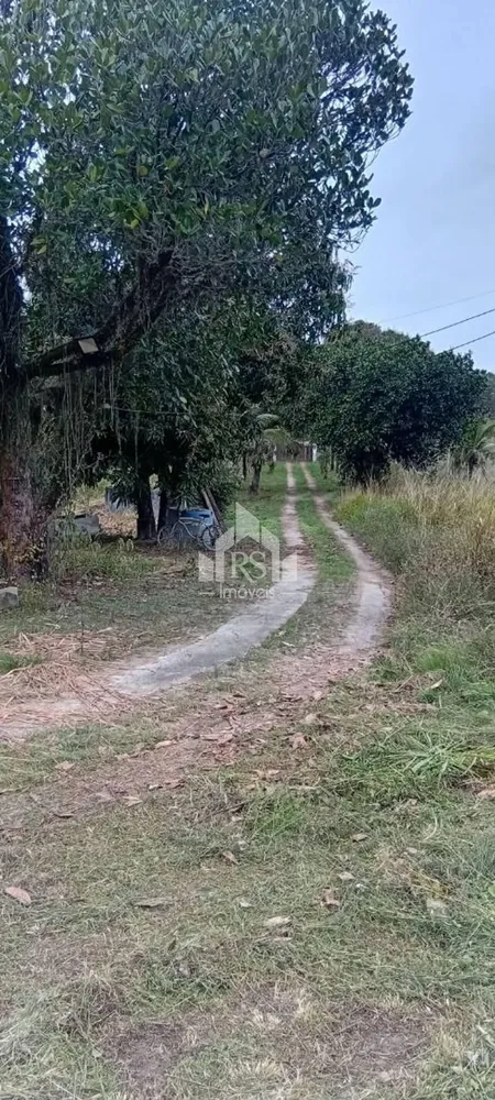 Chácara, 7 quartos, 2 hectares - Foto 10