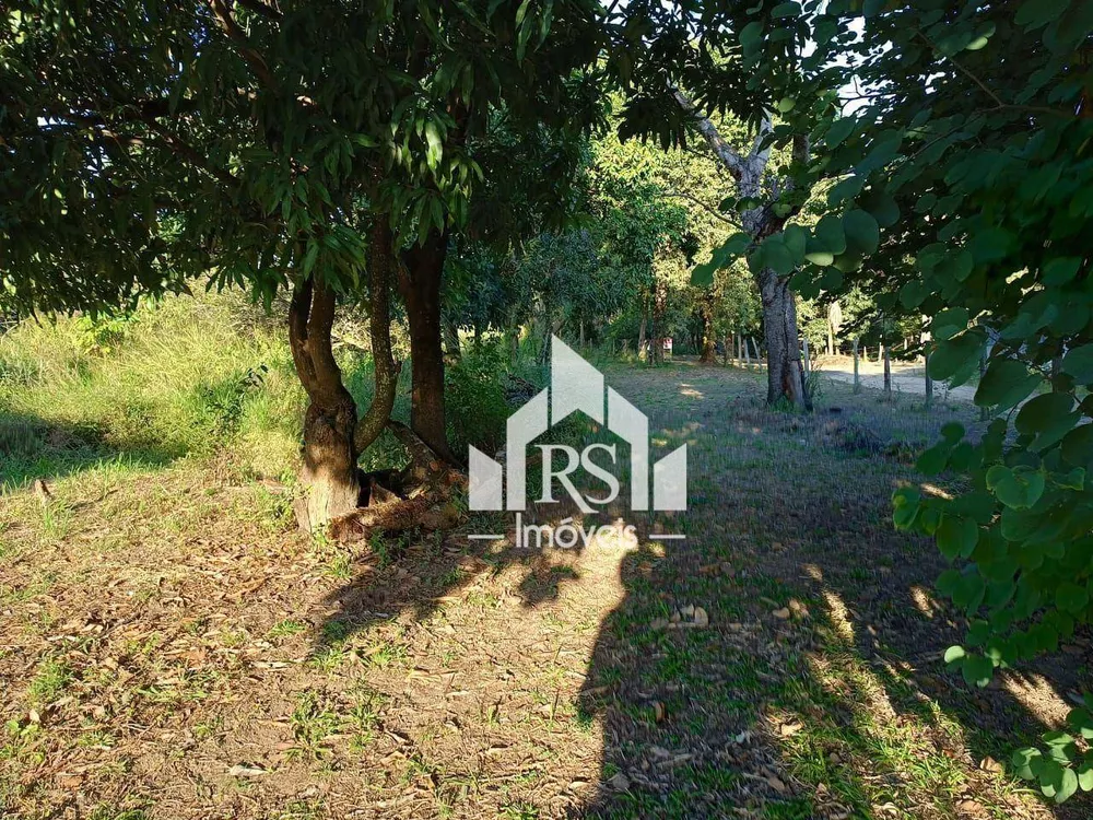 Terreno, 3 hectares - Foto 2