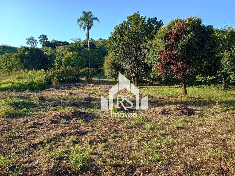 Terreno, 3 hectares - Foto 15
