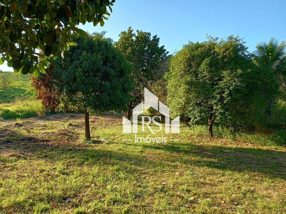 Terreno, 3 hectares - Foto 10