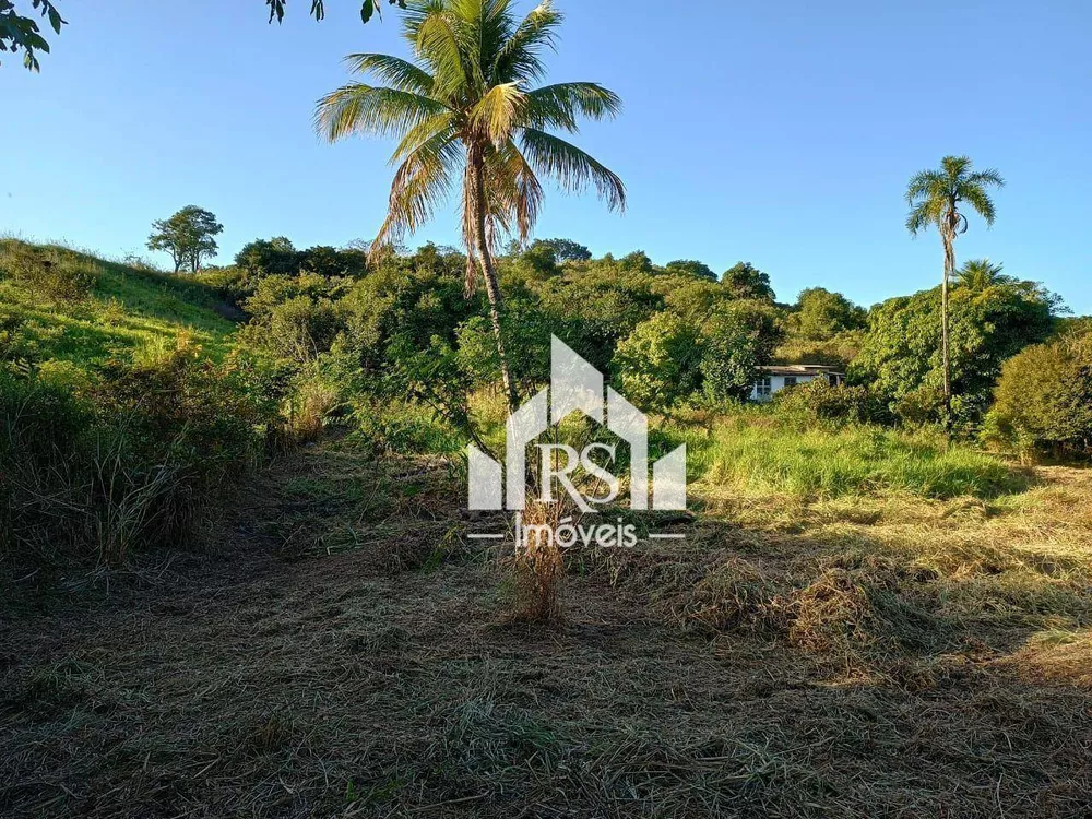 Terreno, 3 hectares - Foto 8