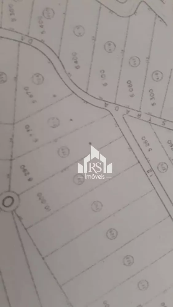 Terreno, 3 hectares - Foto 7