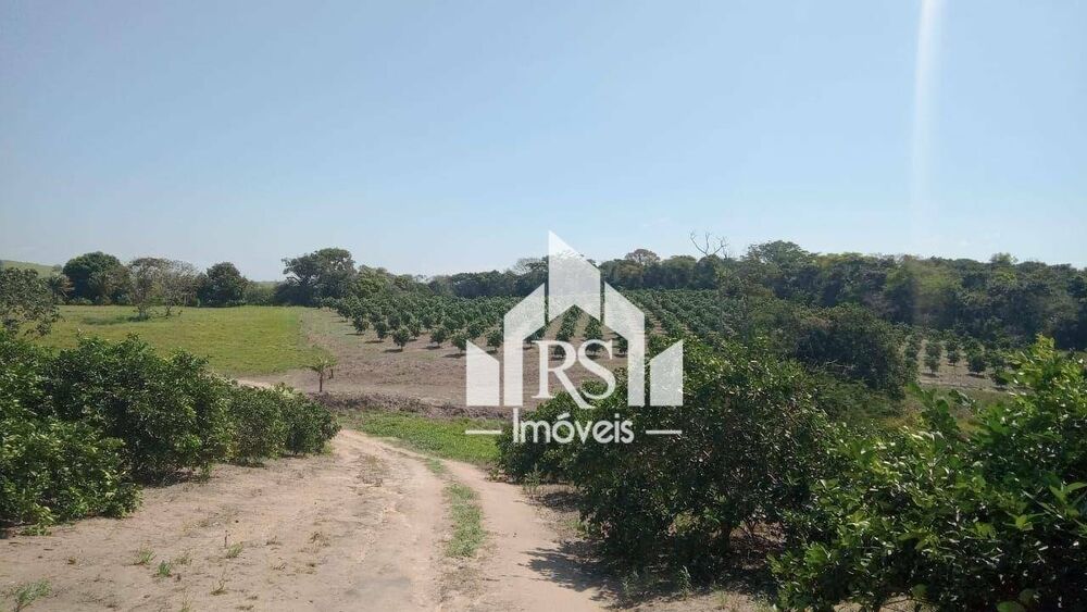 Sítio, 3 quartos, 100 hectares - Foto 17