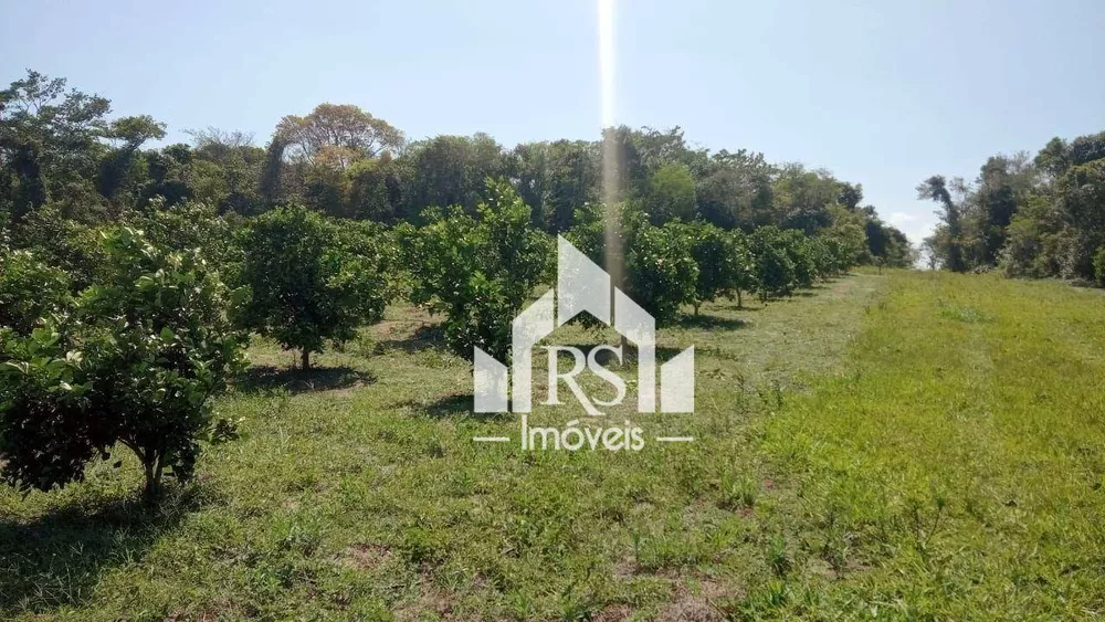 Sítio, 3 quartos, 100 hectares - Foto 11