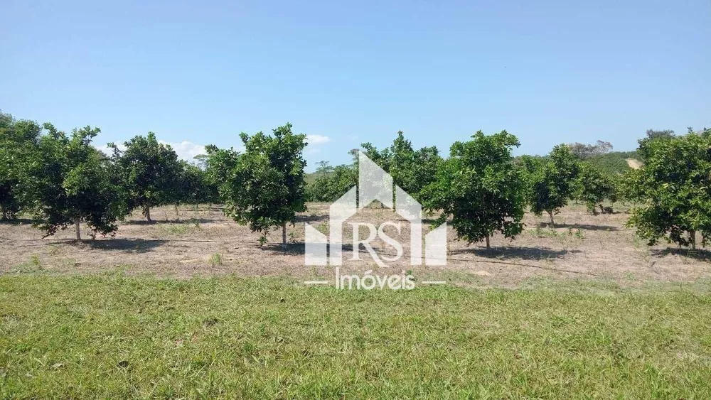 Sítio, 3 quartos, 100 hectares - Foto 7