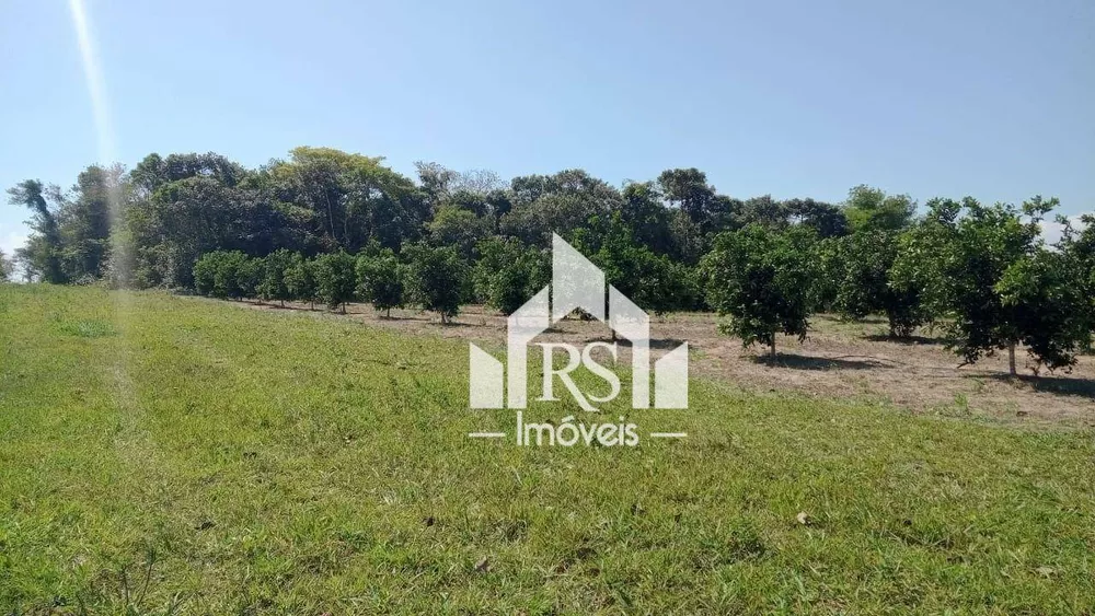 Sítio, 3 quartos, 100 hectares - Foto 12