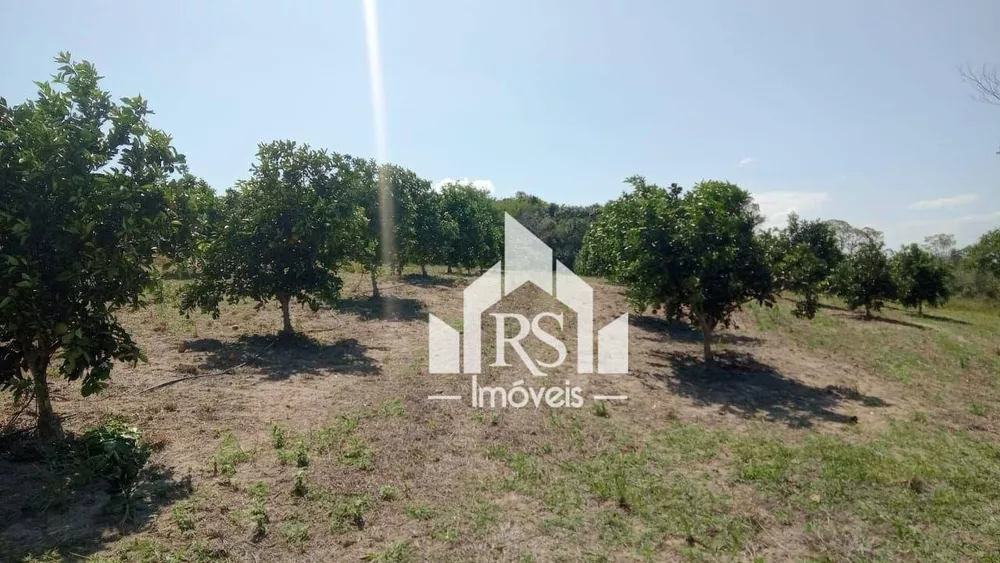 Sítio, 3 quartos, 100 hectares - Foto 10