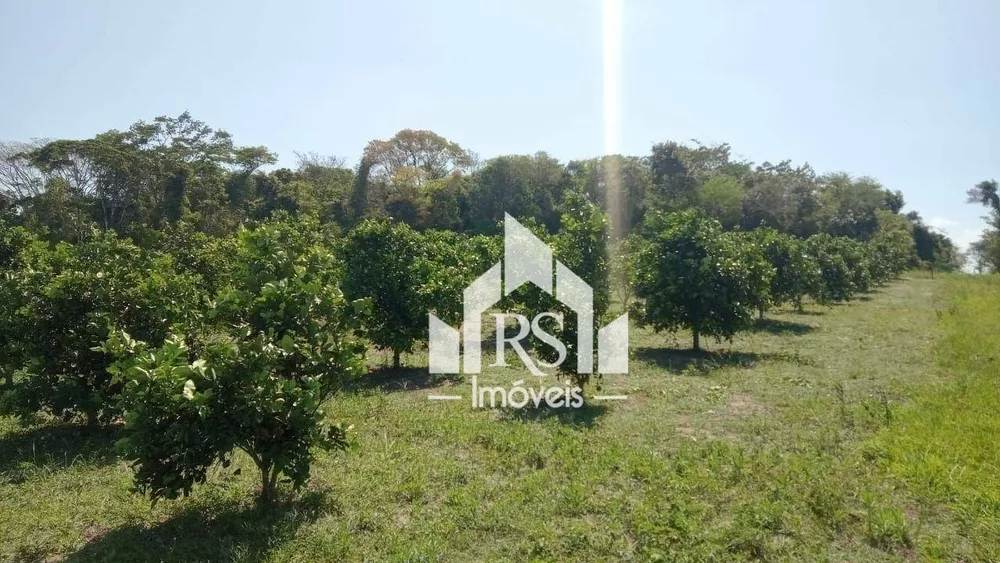 Sítio, 3 quartos, 100 hectares - Foto 15