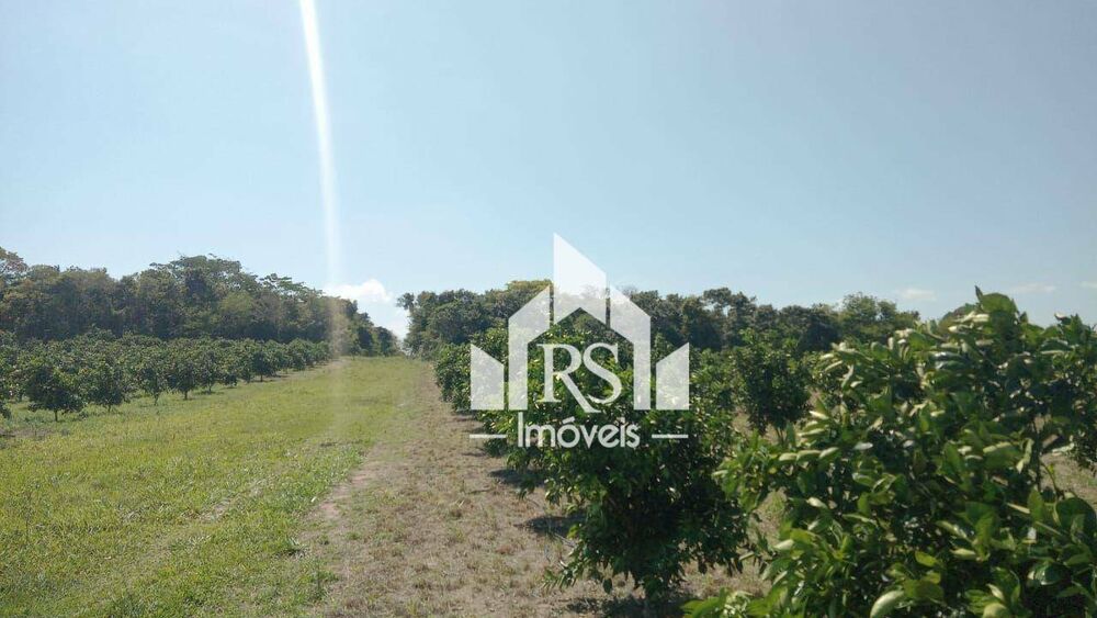 Sítio, 3 quartos, 100 hectares - Foto 4