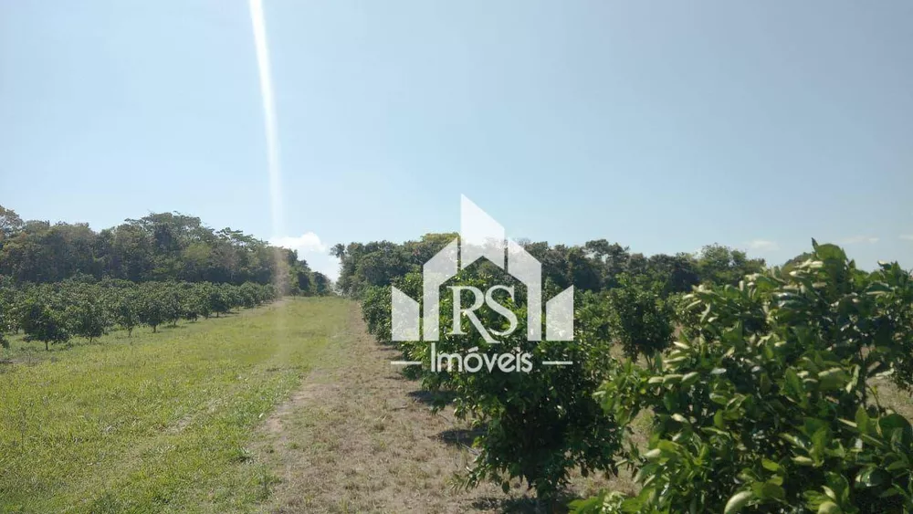 Sítio, 3 quartos, 100 hectares - Foto 5