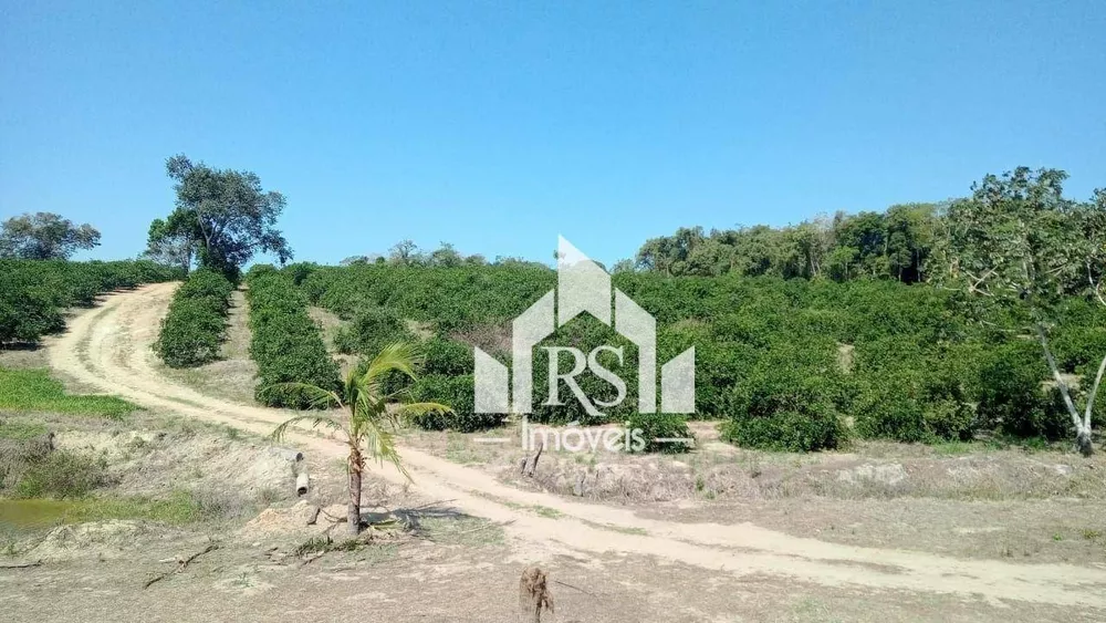 Sítio, 3 quartos, 100 hectares - Foto 9