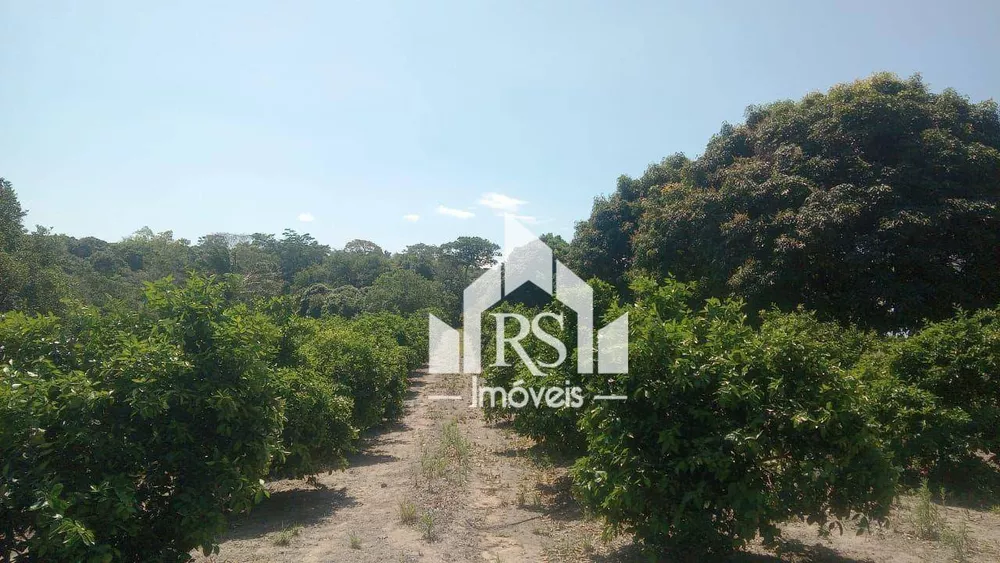 Sítio, 3 quartos, 100 hectares - Foto 3