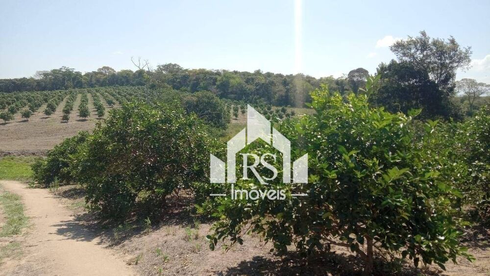 Sítio, 3 quartos, 100 hectares - Foto 1