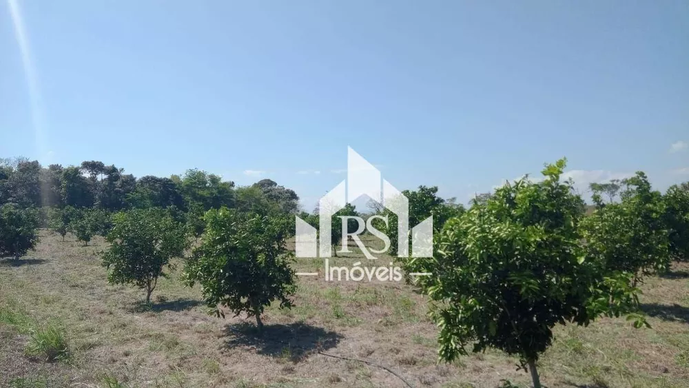 Sítio, 3 quartos, 100 hectares - Foto 14