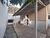 Casa, 1 quarto, 39 m² - Foto 1