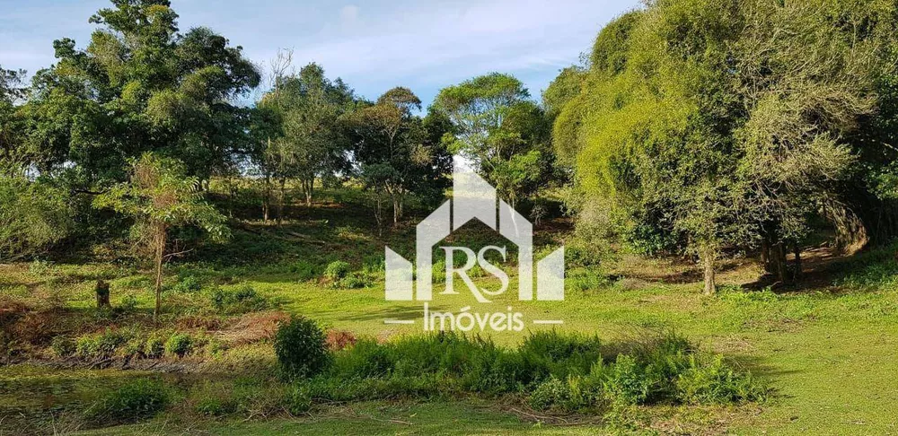 Terreno, 2 hectares - Foto 1