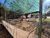 Apartamento, 1 quarto, 41 m² - Foto 7