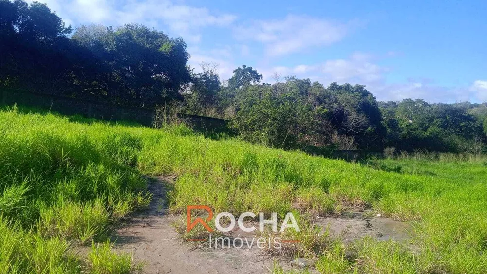 Terreno, 8500 m² - Foto 4
