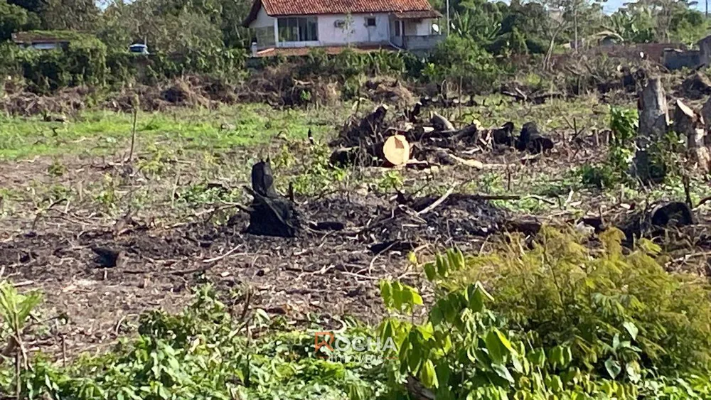 Terreno, 2 hectares - Foto 3