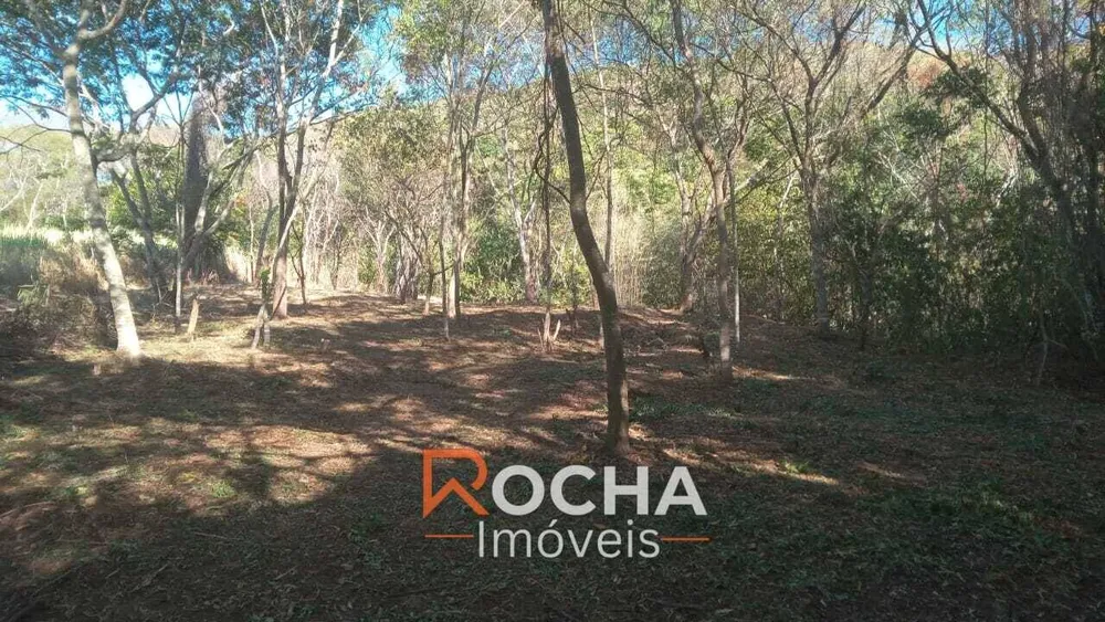 Terreno, 6000 m² - Foto 2