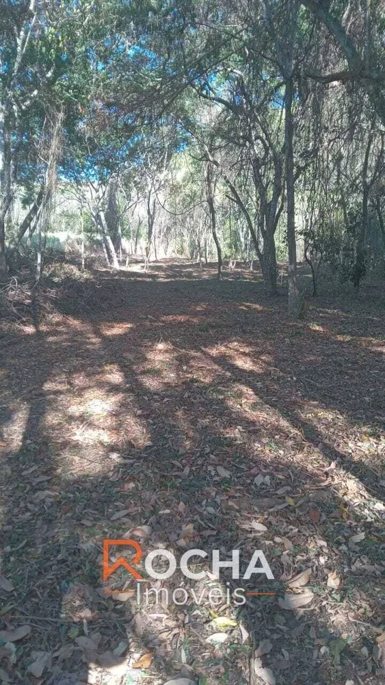 Terreno, 6000 m² - Foto 3