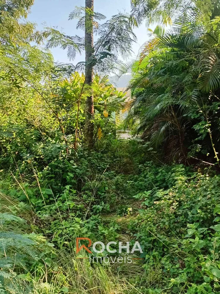 Terreno, 1 hectares - Foto 4