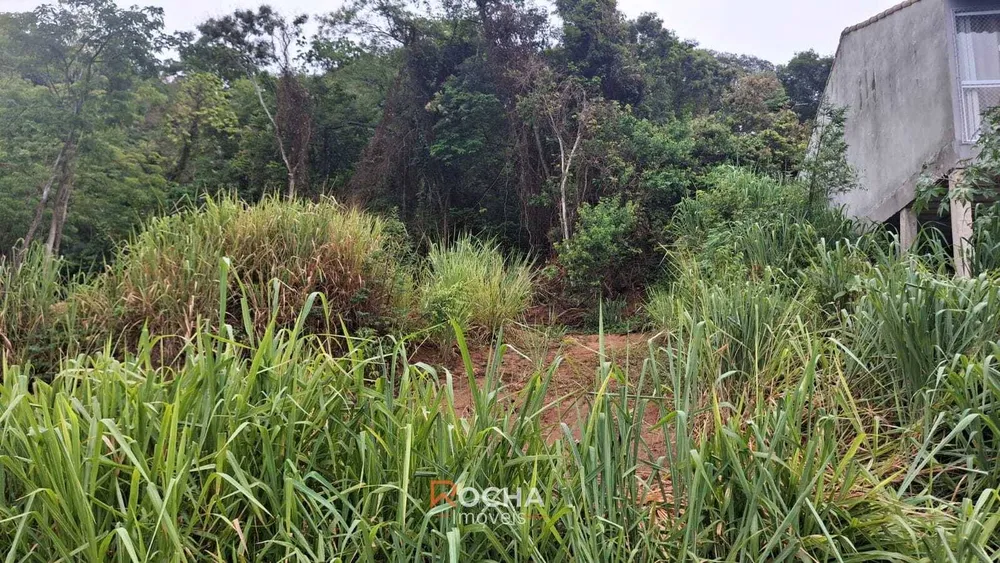 Terreno, 900 m² - Foto 5