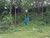 Terreno, 3 hectares - Foto 5