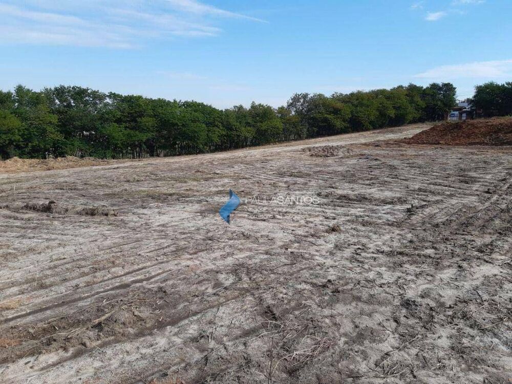 Terreno, 10 hectares - Foto 2