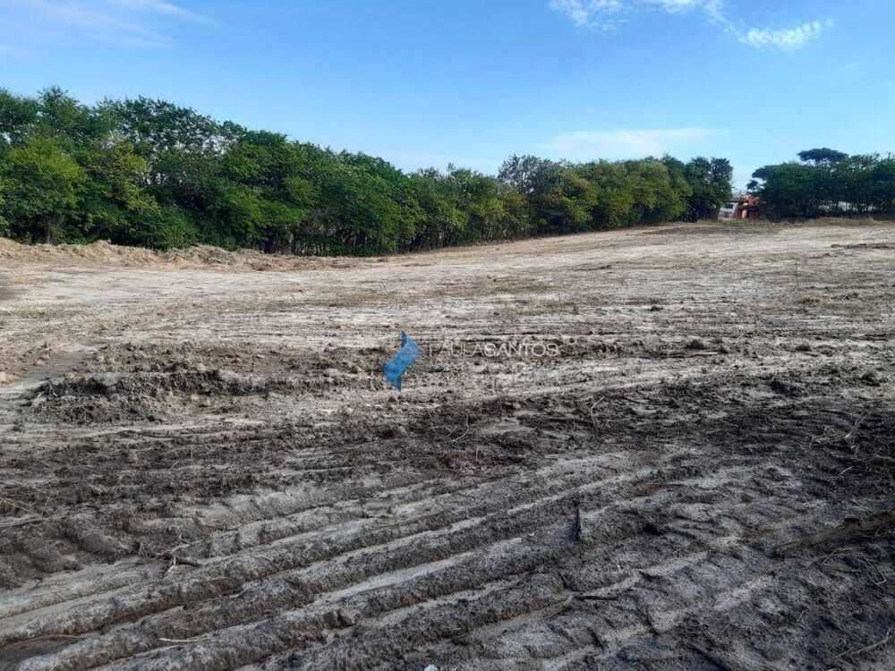 Terreno, 10 hectares - Foto 7