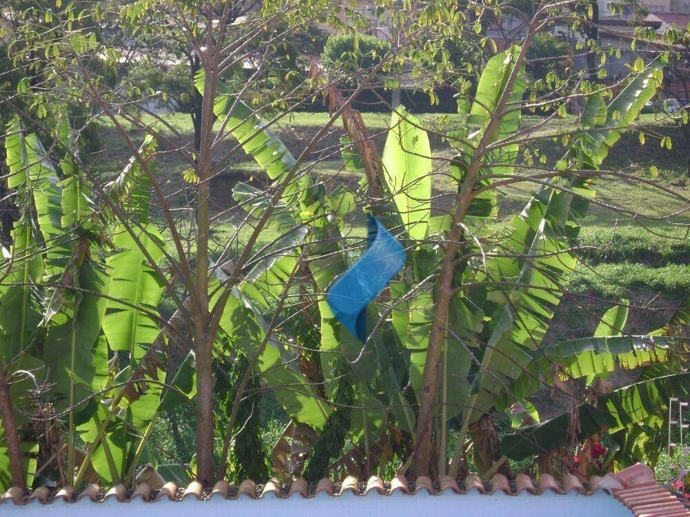 Casa, 3 quartos, 240 m² - Foto 16