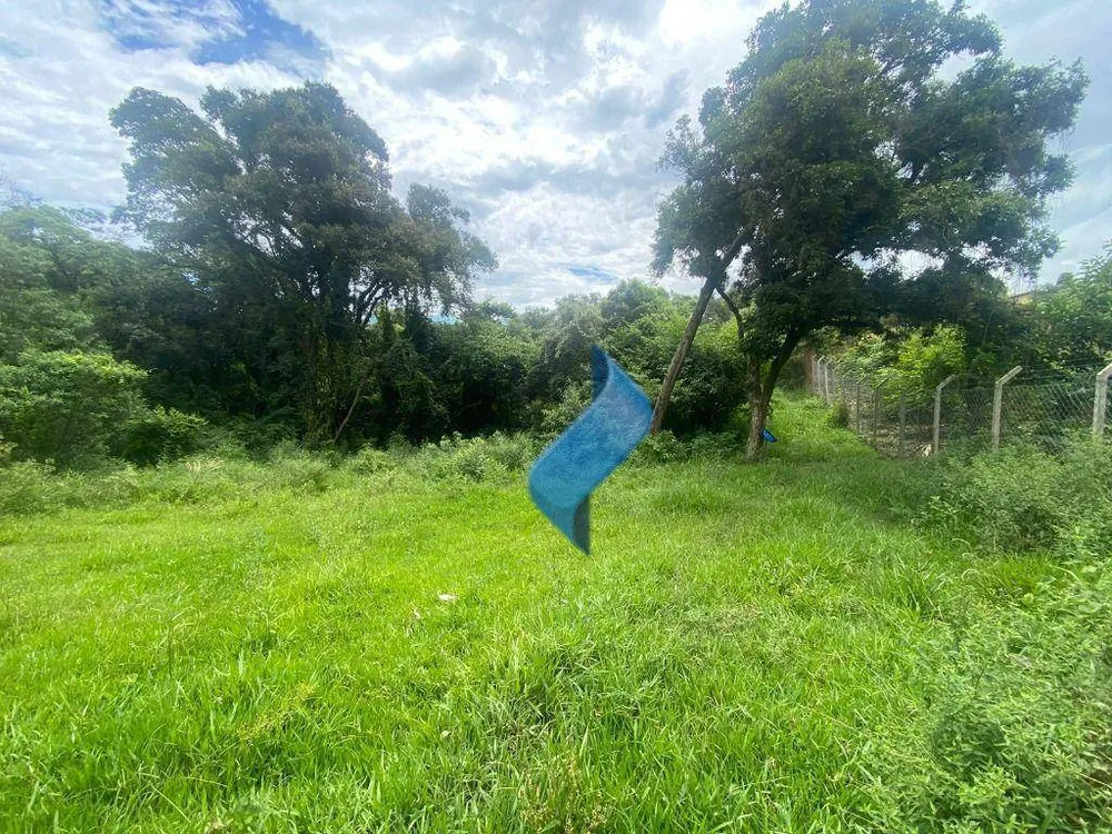 Terreno, 2 hectares - Foto 4