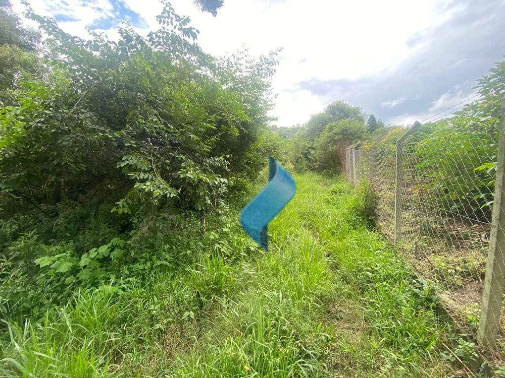 Terreno, 2 hectares - Foto 3