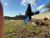 Terreno, 1000 m² - Foto 8