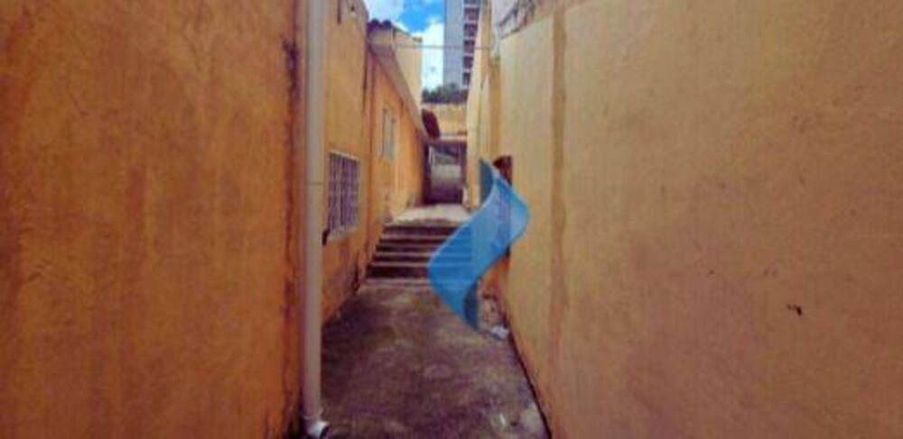 Casa, 3 quartos, 219 m² - Foto 12