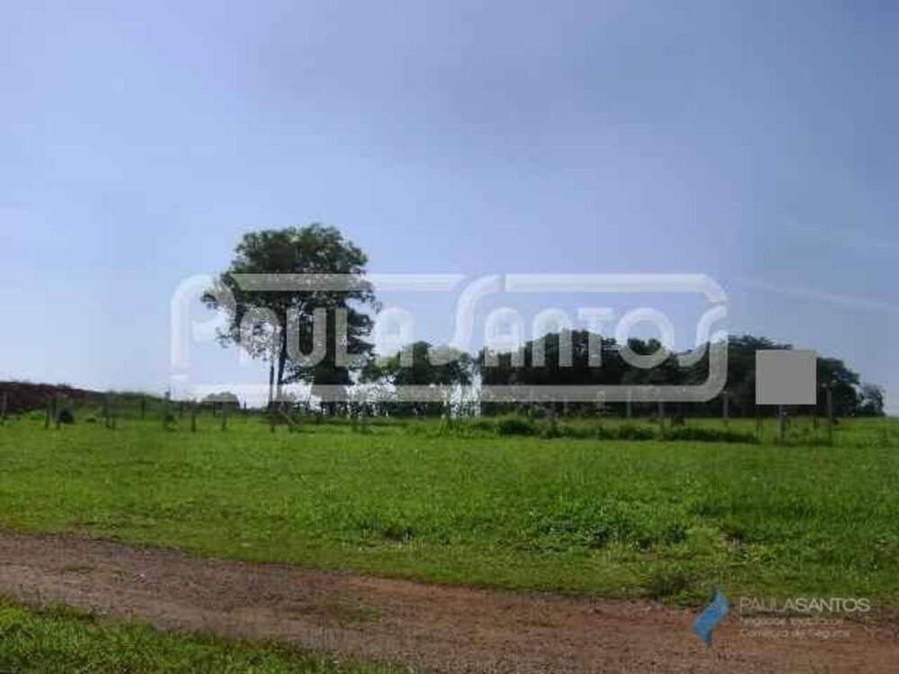 Terreno, 6 hectares - Foto 1