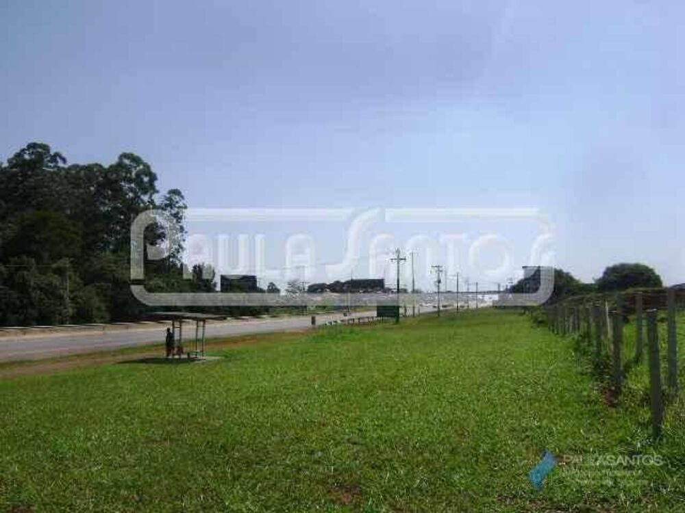 Terreno, 6 hectares - Foto 6