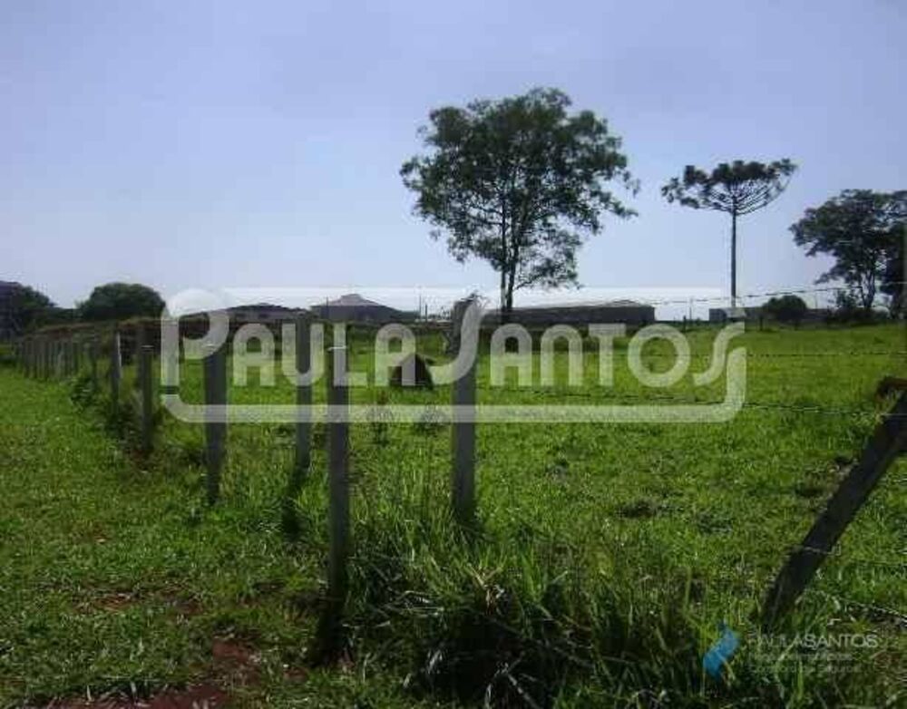 Terreno, 6 hectares - Foto 4