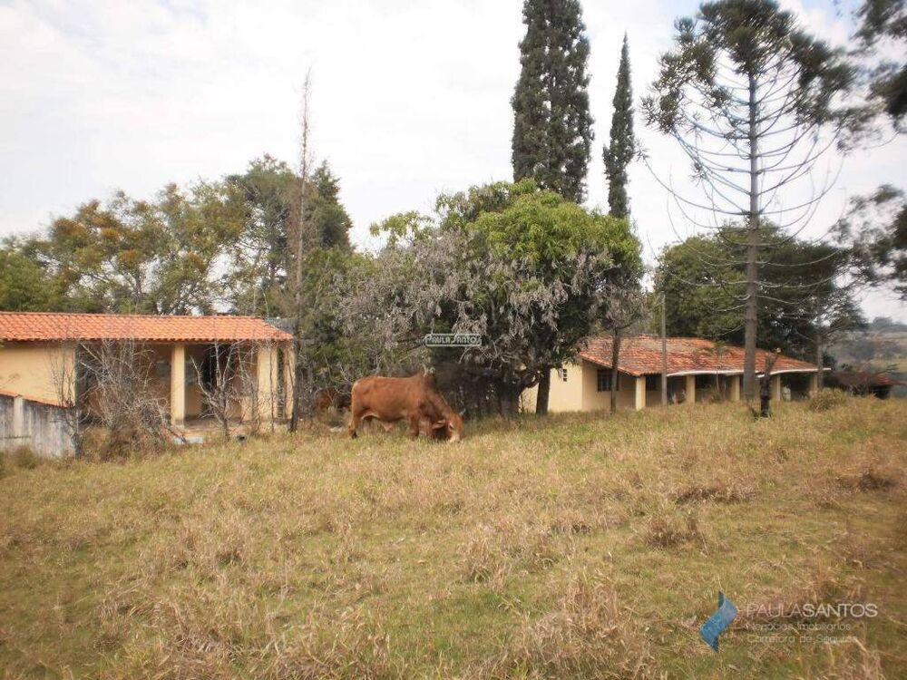 Chácara, 2 quartos, 2 hectares - Foto 4