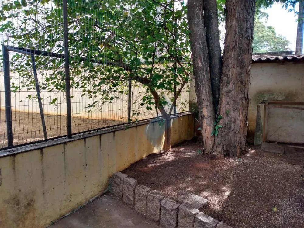 Terreno, 323 m² - Foto 3