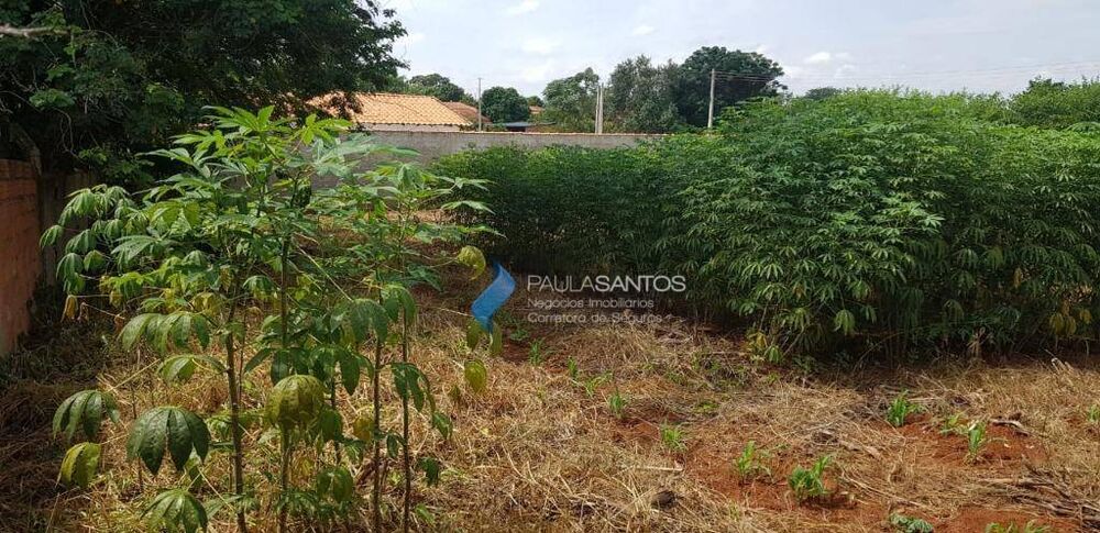 Terreno, 1000 m² - Foto 5