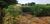 Terreno, 1000 m² - Foto 4