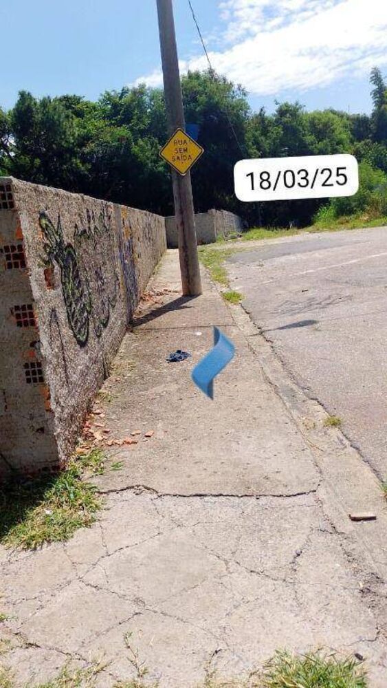 Terreno, 1566 m² - Foto 3