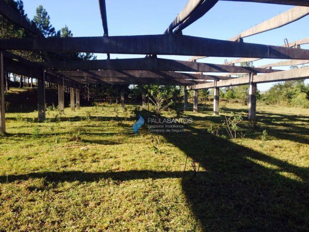 Terreno, 17 hectares - Foto 6