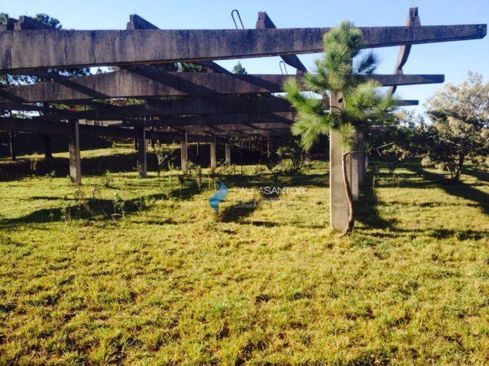Terreno, 17 hectares - Foto 1