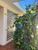 Casa, 3 quartos, 177 m² - Foto 1